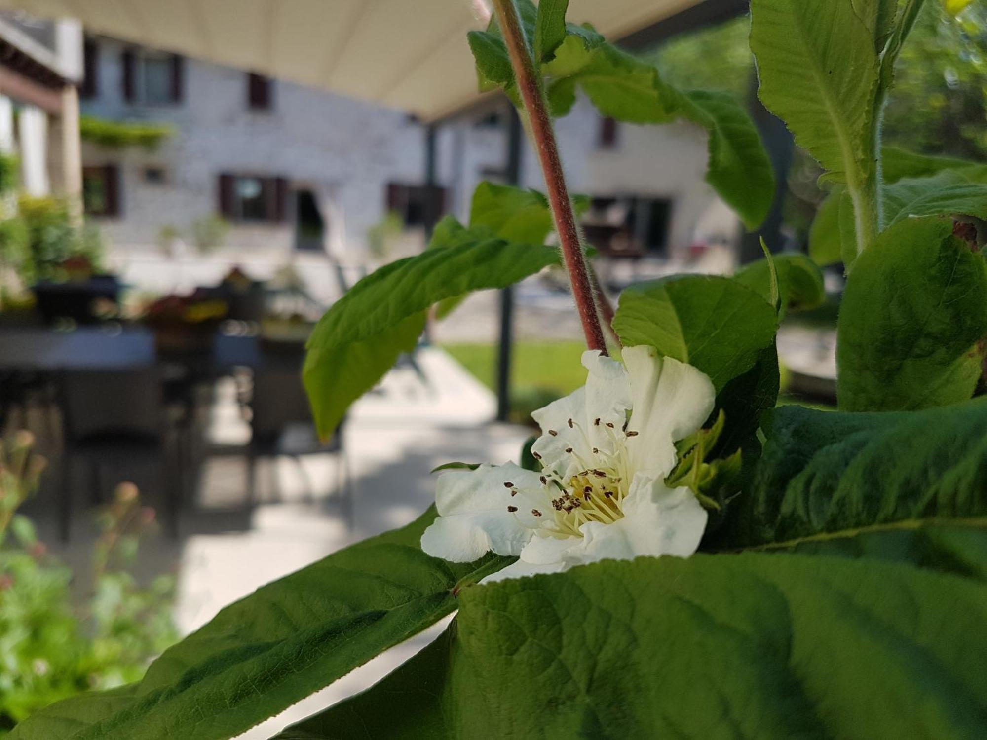 L'Isolo B&B E Case Vacanza 몬잠바노 외부 사진